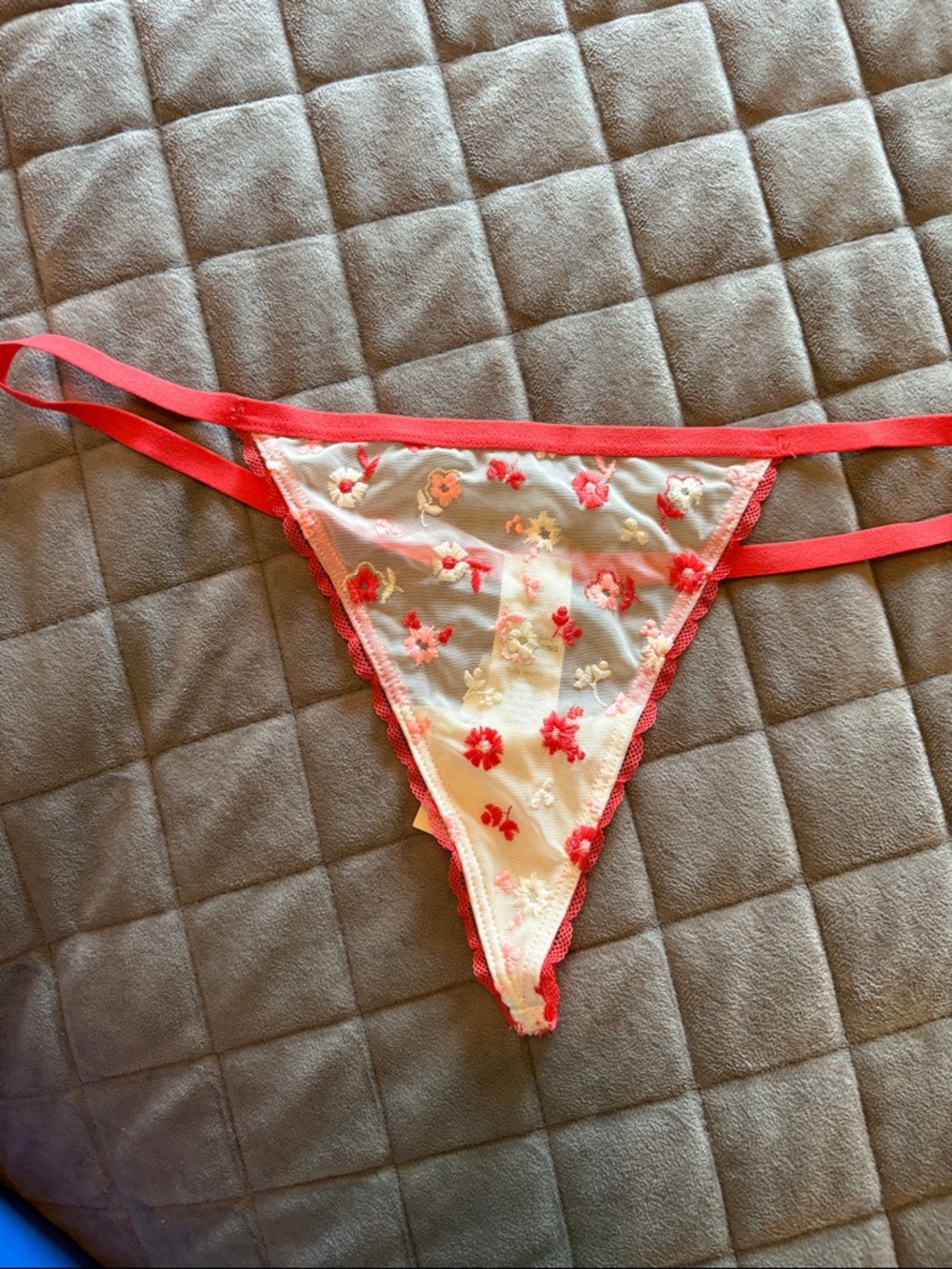 aerie Sheer Floral Embroidered Thong Panty in Coral and Cream